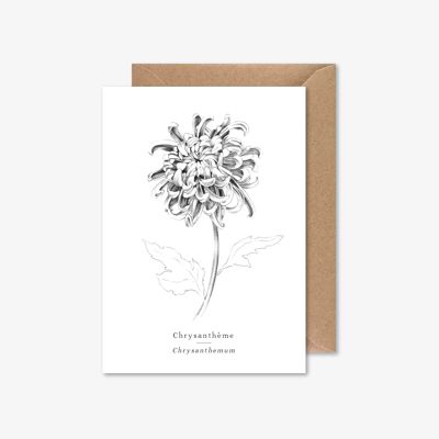 Chrysanthemum