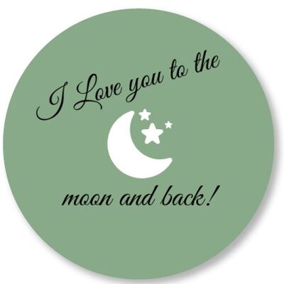 Je t'aime à la lune et au dos vieux vert 15cm