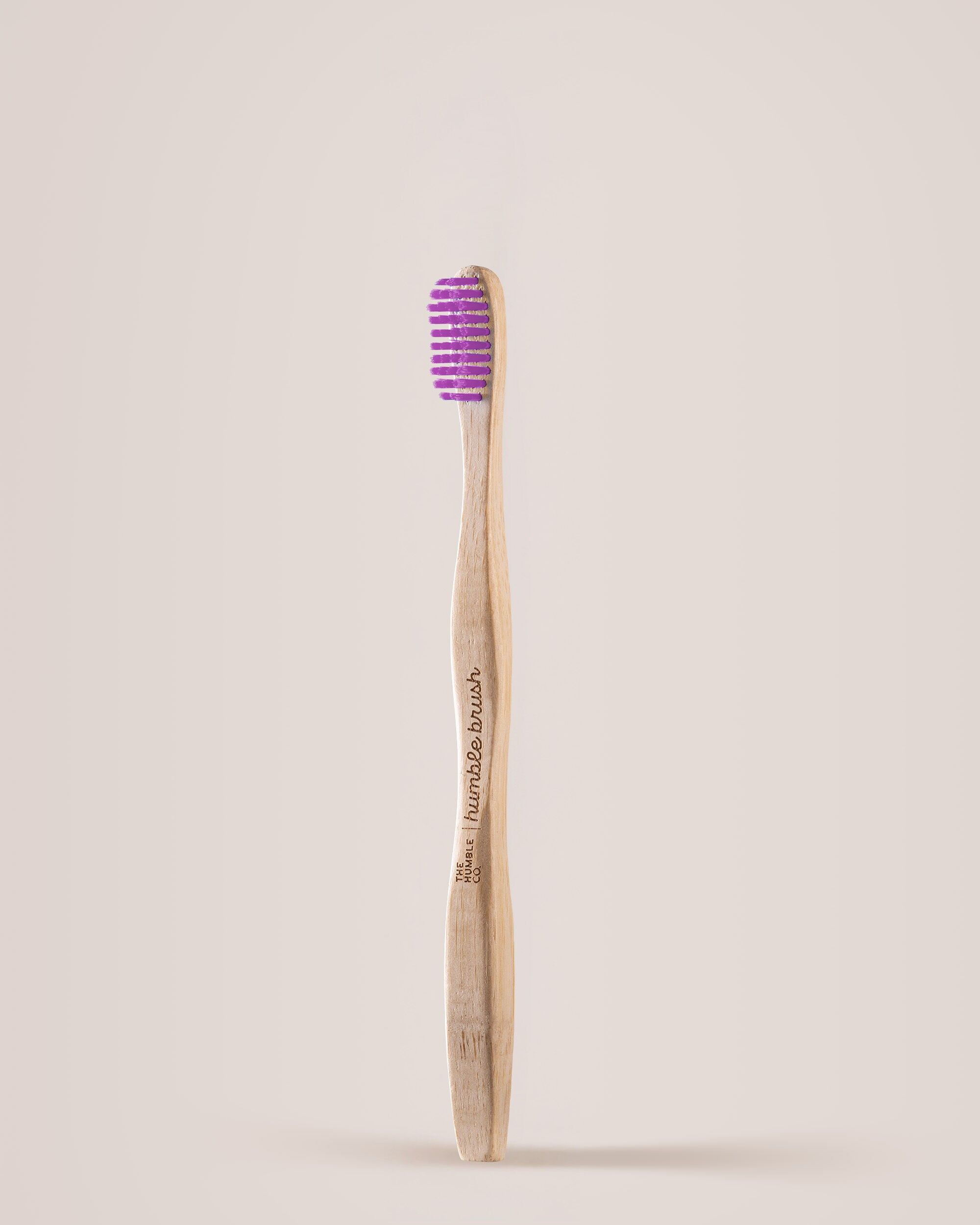 Humble Brush Bamboo - medium - purple