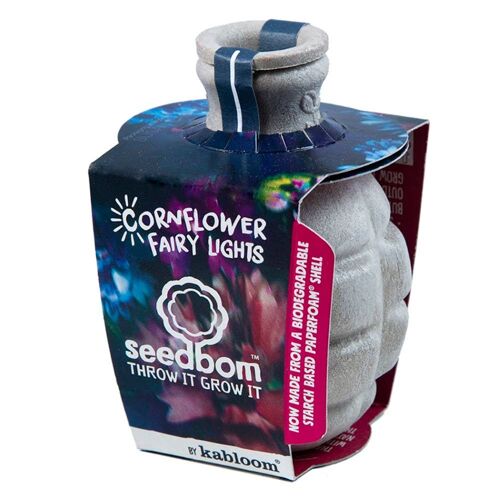 Cornflower Fairy Lights Seedbom - Bulk Box