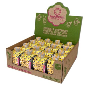 Pollinisateur Beebom Seedbom - Pack CDU 1