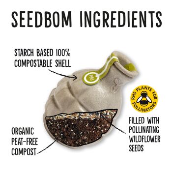 Pollinisateur Beebom Seedbom - Pack de Recharge 5