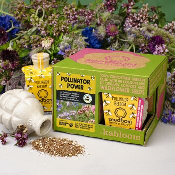 Ensemble cadeau Pollinator Power 4 Pk Seedbom - Paquet de 8 2