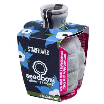 Starflower Seedbom - Pack CDU 2