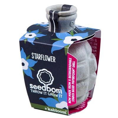 Starflower Seedbom - Pack de recharge