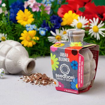 Urban Bloomer Seedbom - Pack CDU 3
