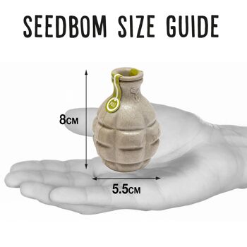 Urban Bloomer Seedbom - Pack CDU 8