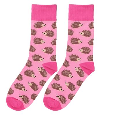 Socks Hedgehog
