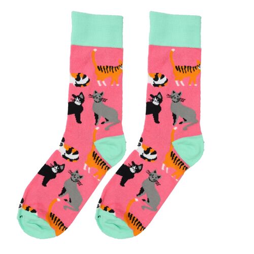 Socks Cats