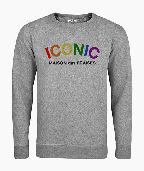 Iconic color gray unisex sweatshirt