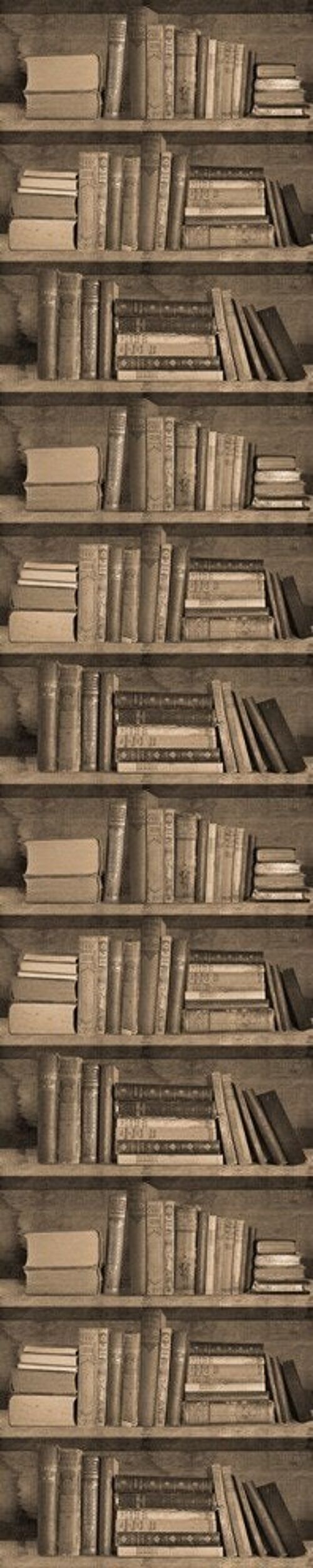 Sepia Bookshelf Wallpaper
