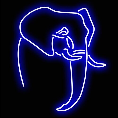 Neon Sign ELEPHAN T with remote control