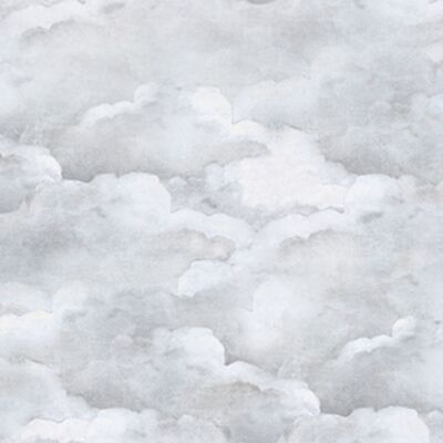 Pale Grey Clouds Wallpaper