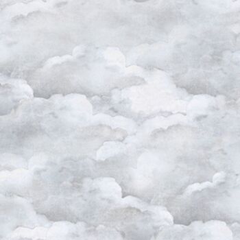 Papier peint nuages gris pâle 1