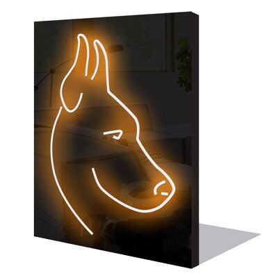 Neon Sign POOCH with remote control