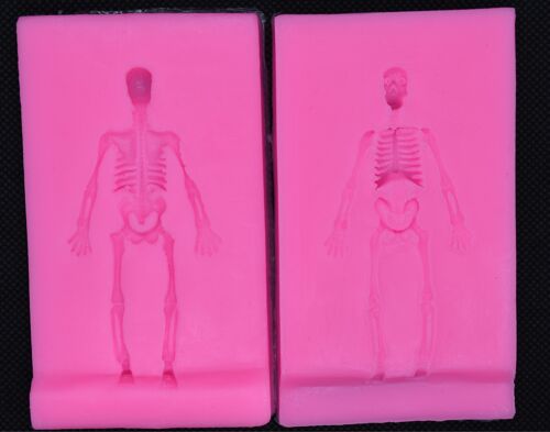 Human Skeleton (2 pieces) , DIY-L026-151