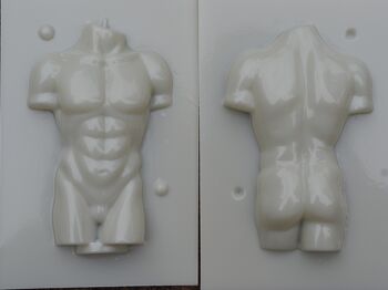Buste / torse masculin 3D, MT01 2