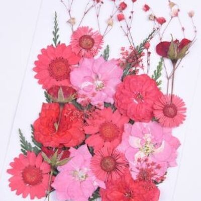 Fleurs mélangées 4 , AE088