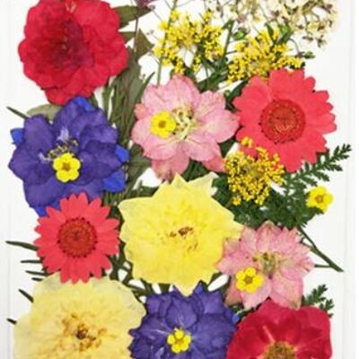 Flores mixtas 7 , AE091