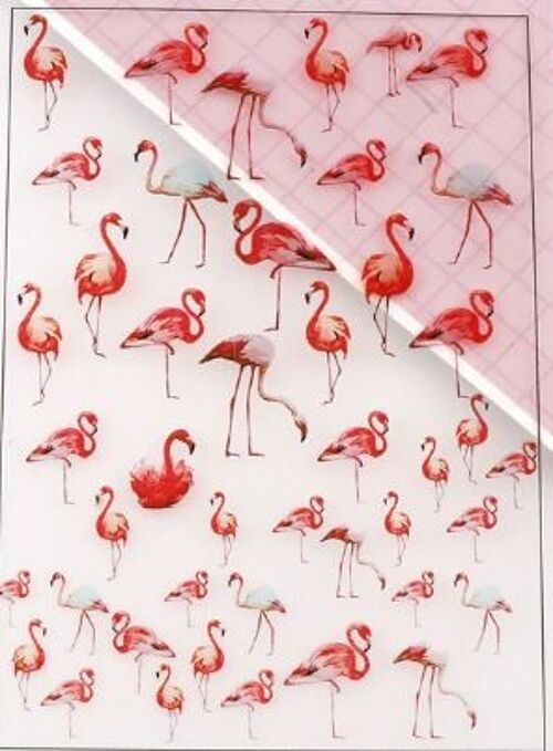 Plastic sheet - Flamingo , AE047