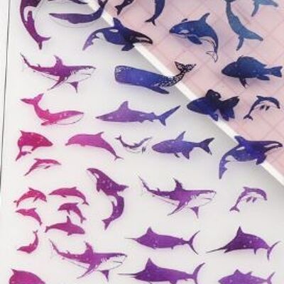 Plastic sheet - Whale , AE037