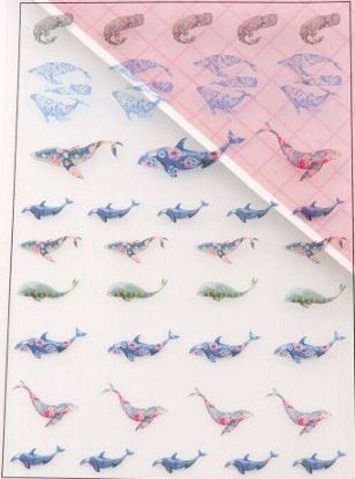 Plastic sheet - Whales 2 , AE049