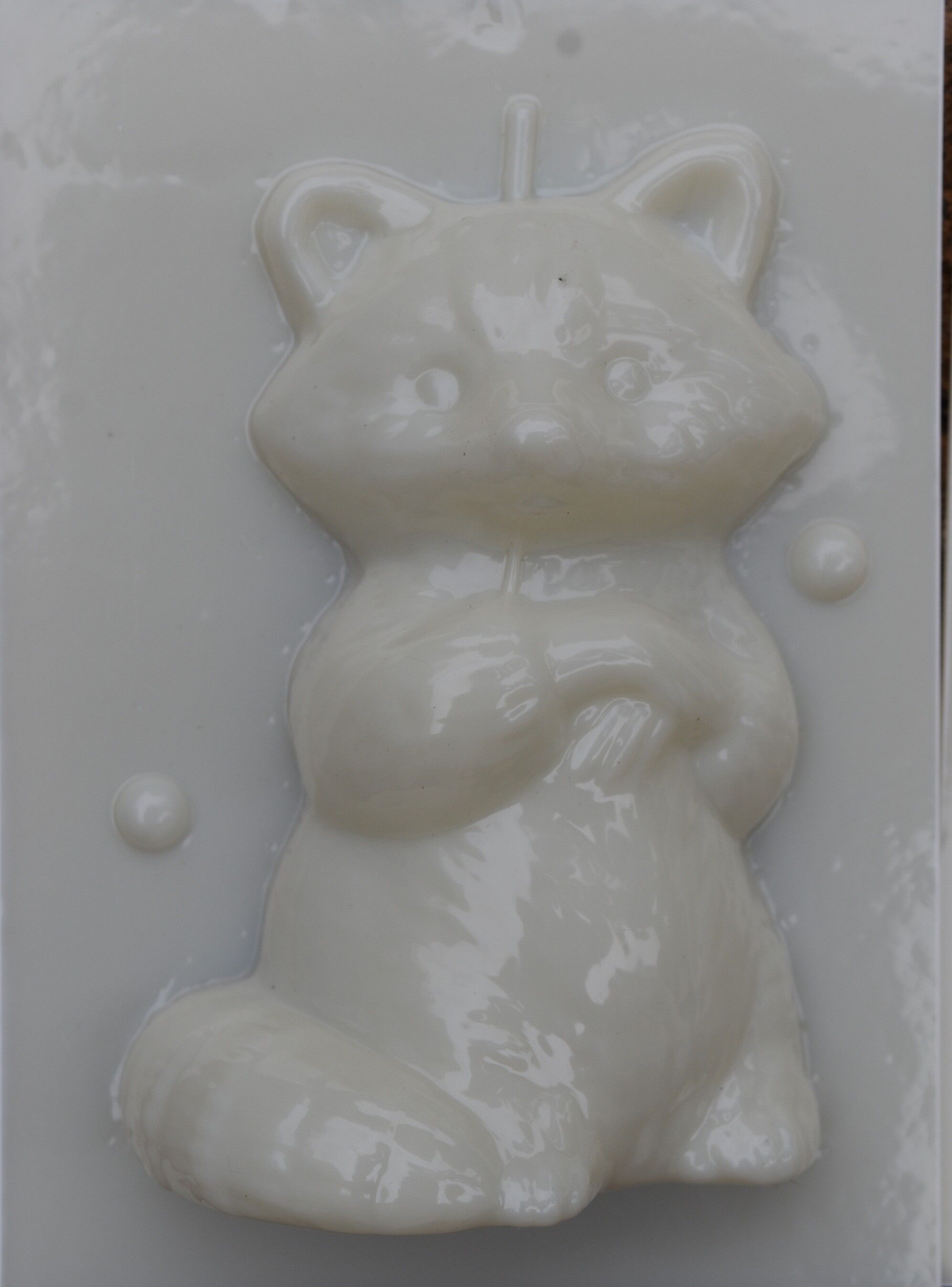Raccoon 3D , F814