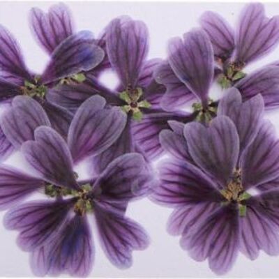 Purple flowers 10 pieces/pack , AE0058