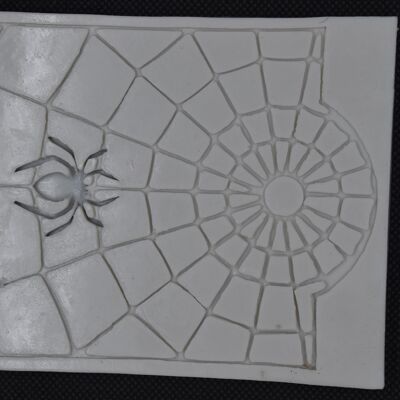 Spider in web , DIY-K009-11A