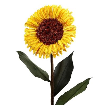Dried sunflower - Yellow , dried-sunflower-yellow-0