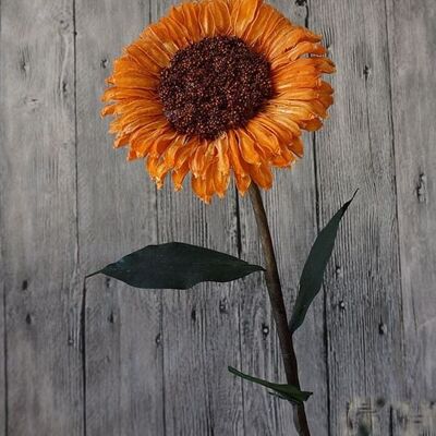 Dried sunflower - Orange , dried-sunflower-orange-1