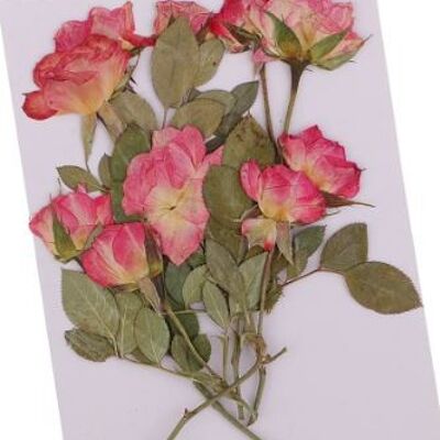 Rose buds with brunches - 10 pieces , rose-buds-with-brunches-10-pieces
