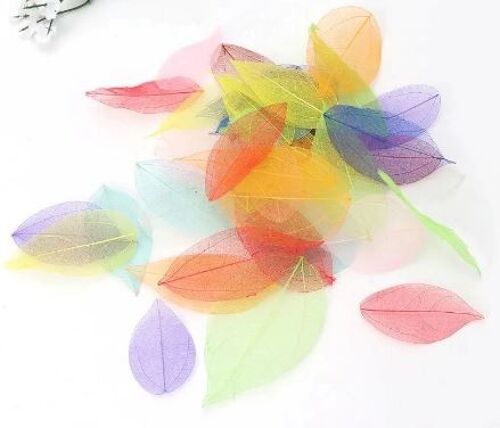 Skeleton leaves - 50 pieces - mixed colors , skeleton-leaves-50-pieces-mixed-colors