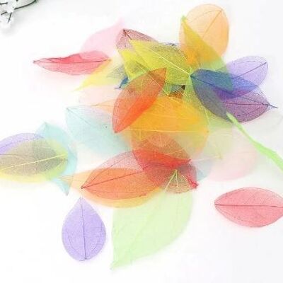 Skeleton leaves - 50 pieces - mixed colors , skeleton-leaves-50-pieces-mixed-colors