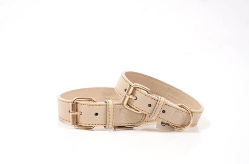 Sir Chuck Beige Collar