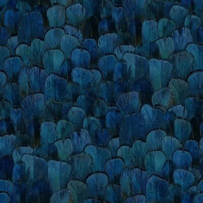 Feather Pattern Blue Wallpaper