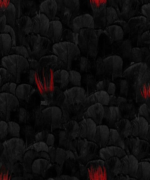 Feather Pattern Black and Red Wallpaper