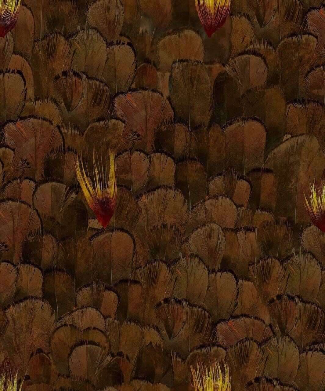 Carta da parati marrone e gialla con motivo a piume