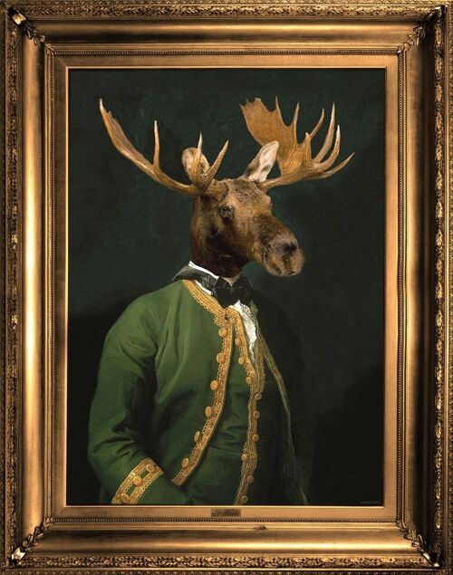 Moose Stretched canvas wall art ' Lord Montague ' Canvas Small
