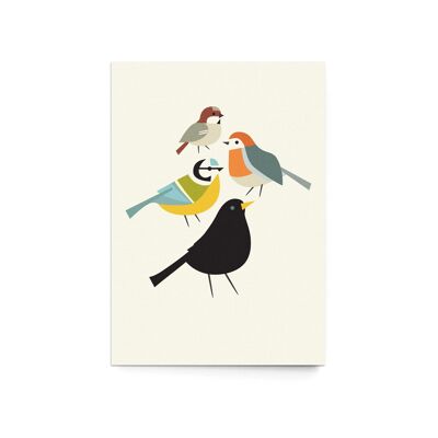 Postcard "Birdies"