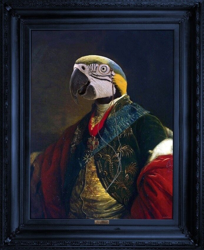 Cugino Parker Canvas Small