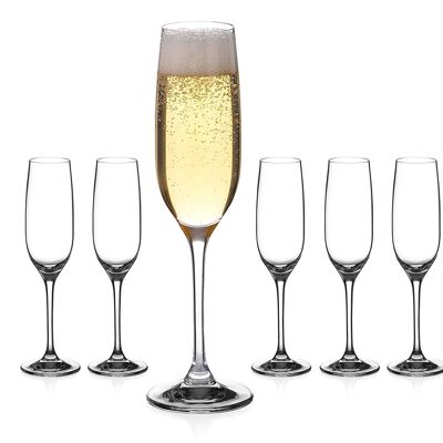 Diamante Champagne Flutes Prosecco-Gläser aus Kristallglas – „Everyday“-Kollektion, undekoriertes Kristallglas – 6er-Set