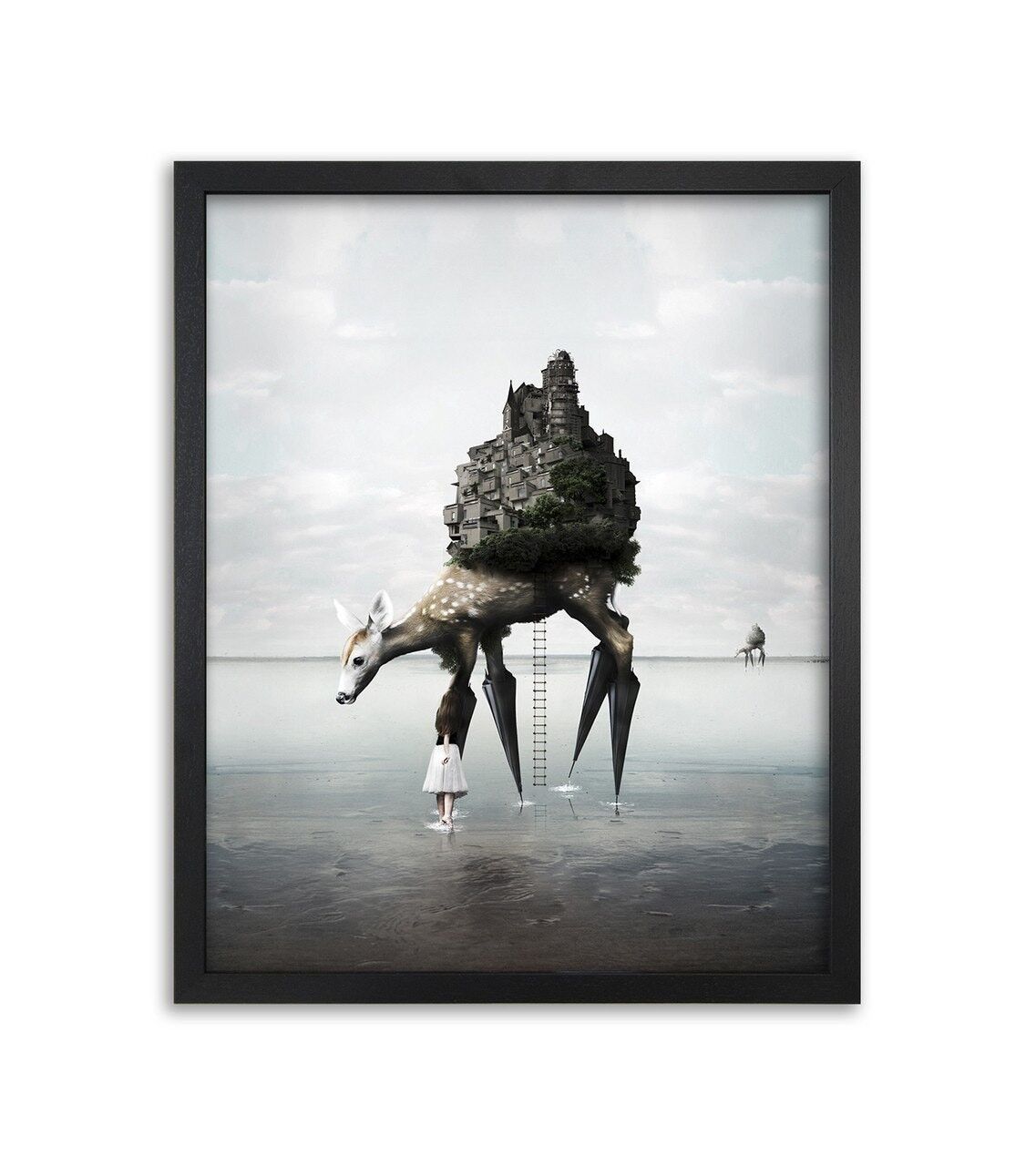 Der Migrationsbereich