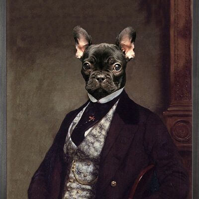 Portrait of French bulldog Canvas