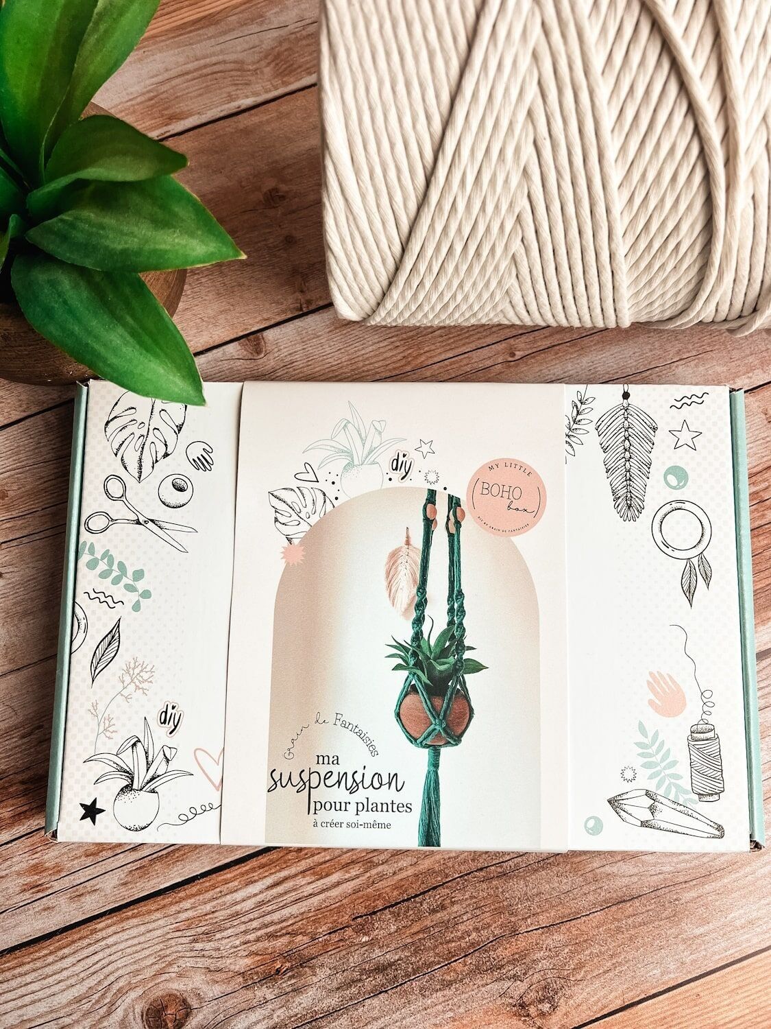 Plant Hangers – Un best seller per il tuo negozio