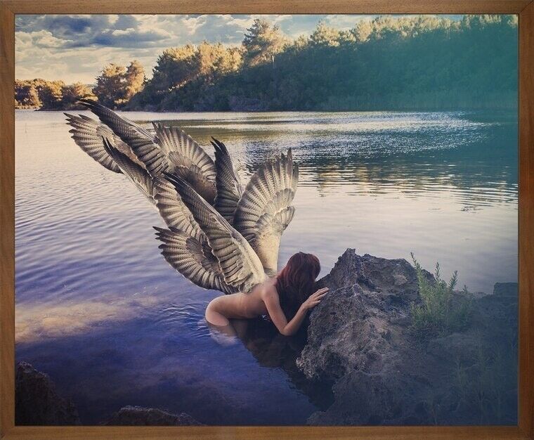 Tela stampata con cornice pace -Medium