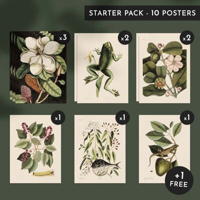 Discovery pack - Wonders of the tropics - 10 posters 30x40cm