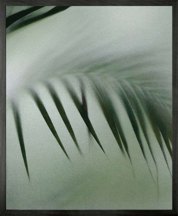 Palm etch 8 Tela stampata con cornice - Grande