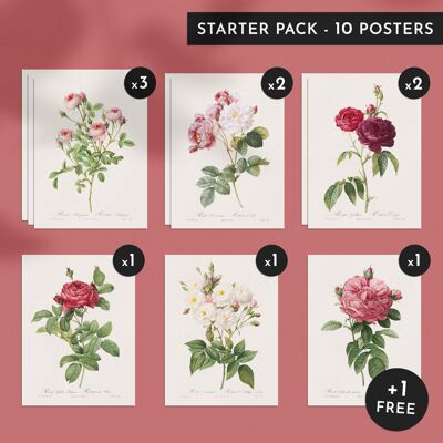Pack découverte - Les Roses - 10 affiches 30x40cm