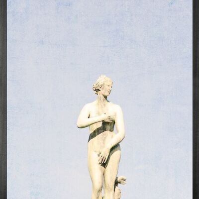 Statuesque 5 Framed Printed canvas -Small